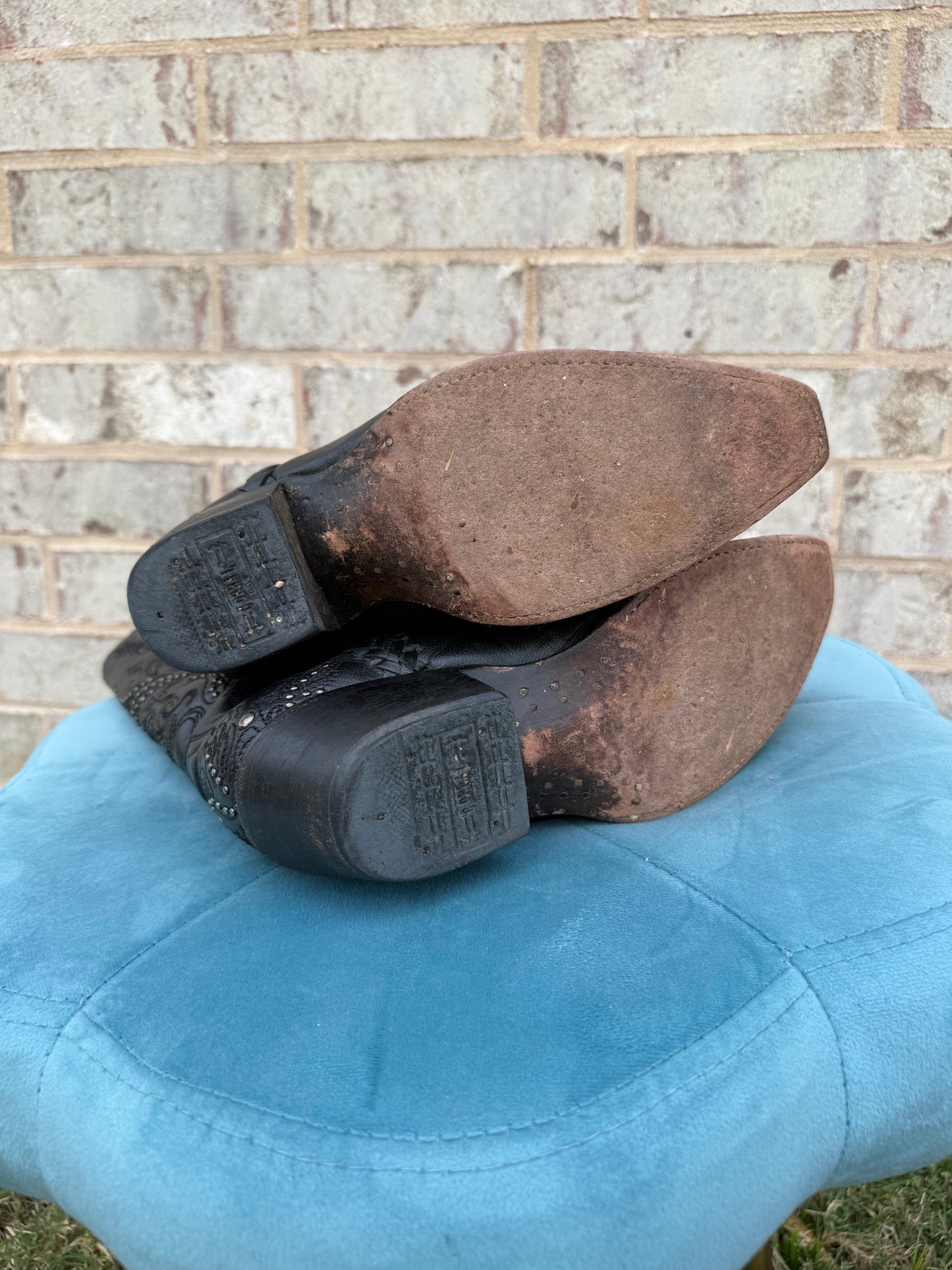 Black Embroidered Corral