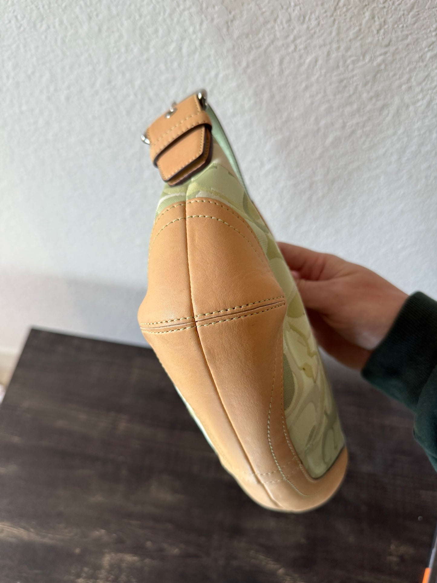 Coach Green Ladybug Bag