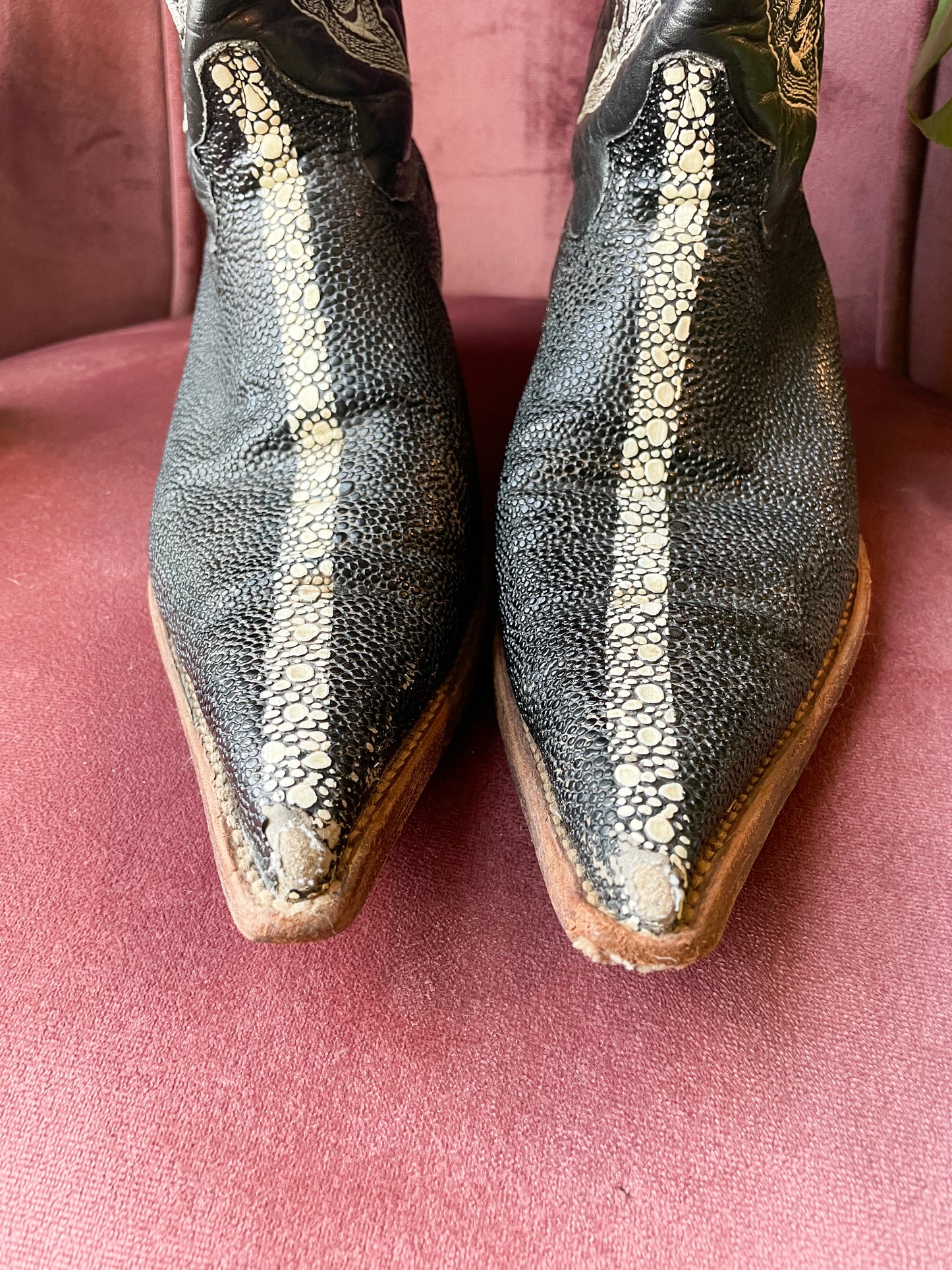 Semental Stingray Boots