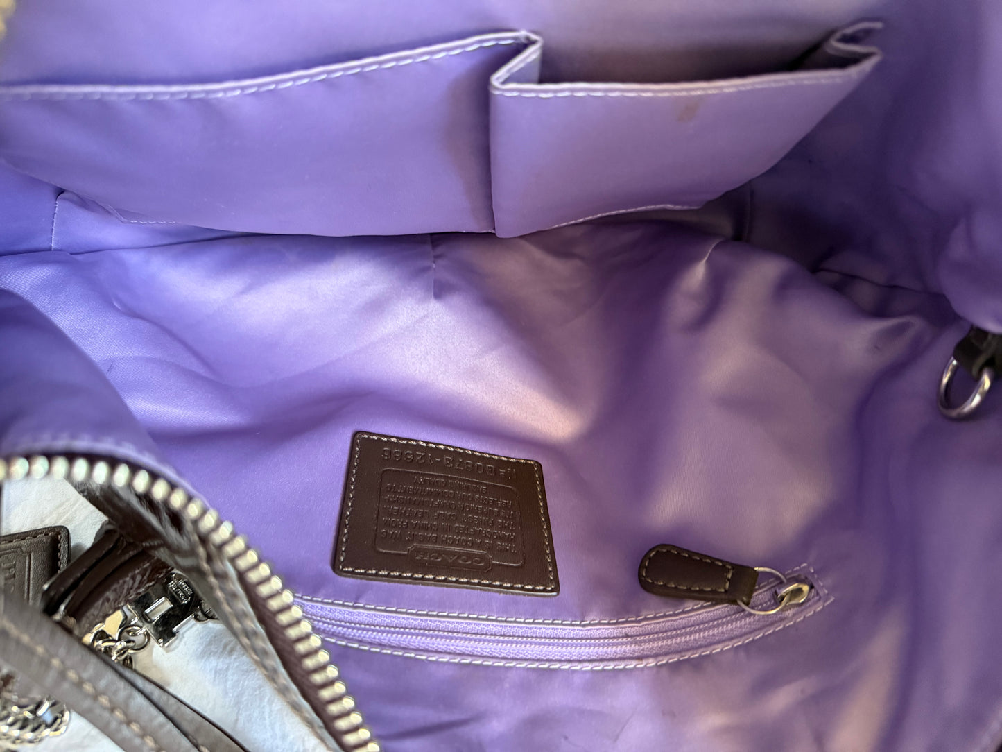 Coach Zoe Hobo Bag