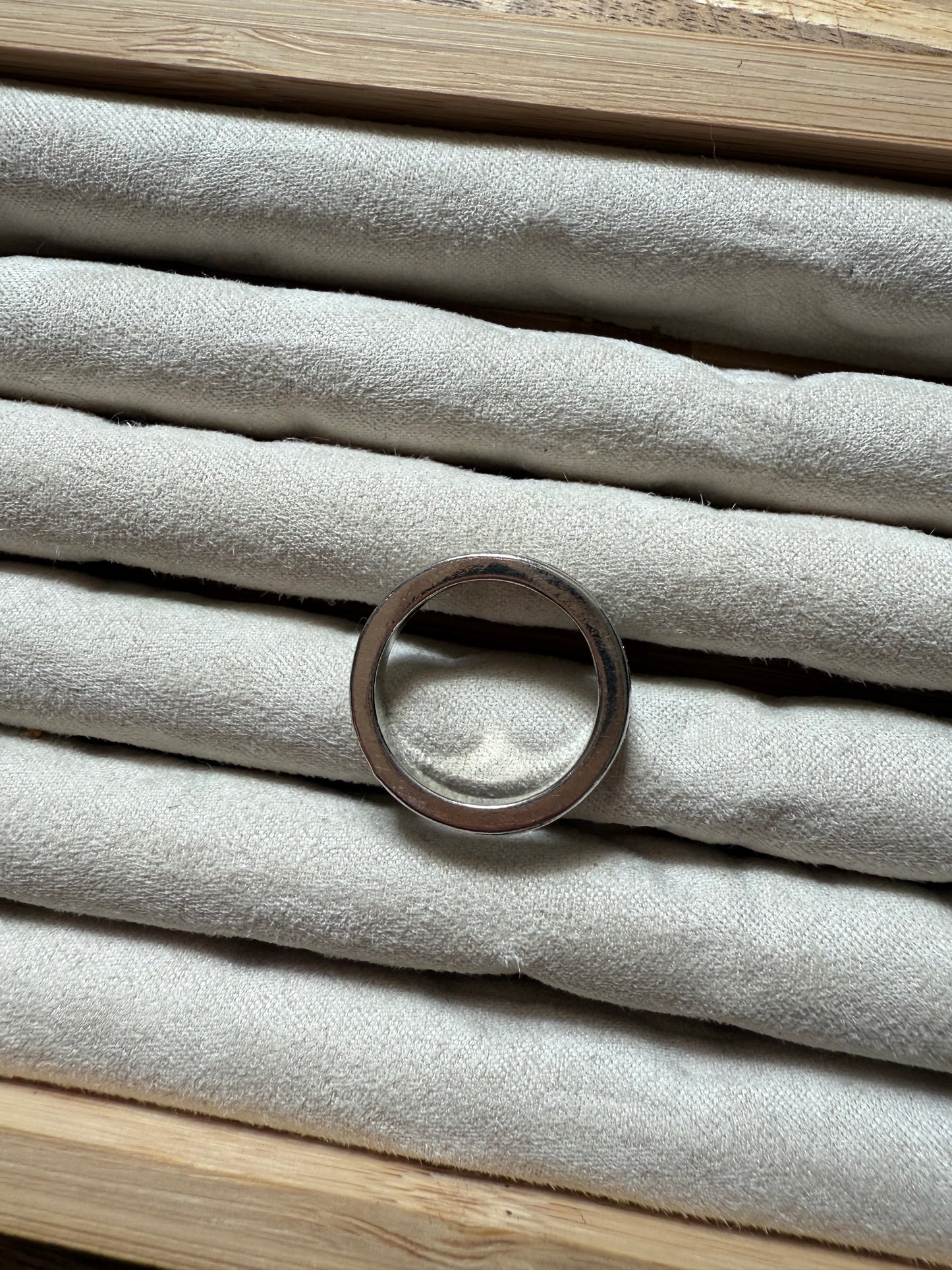 Silver Glittery Band (8)