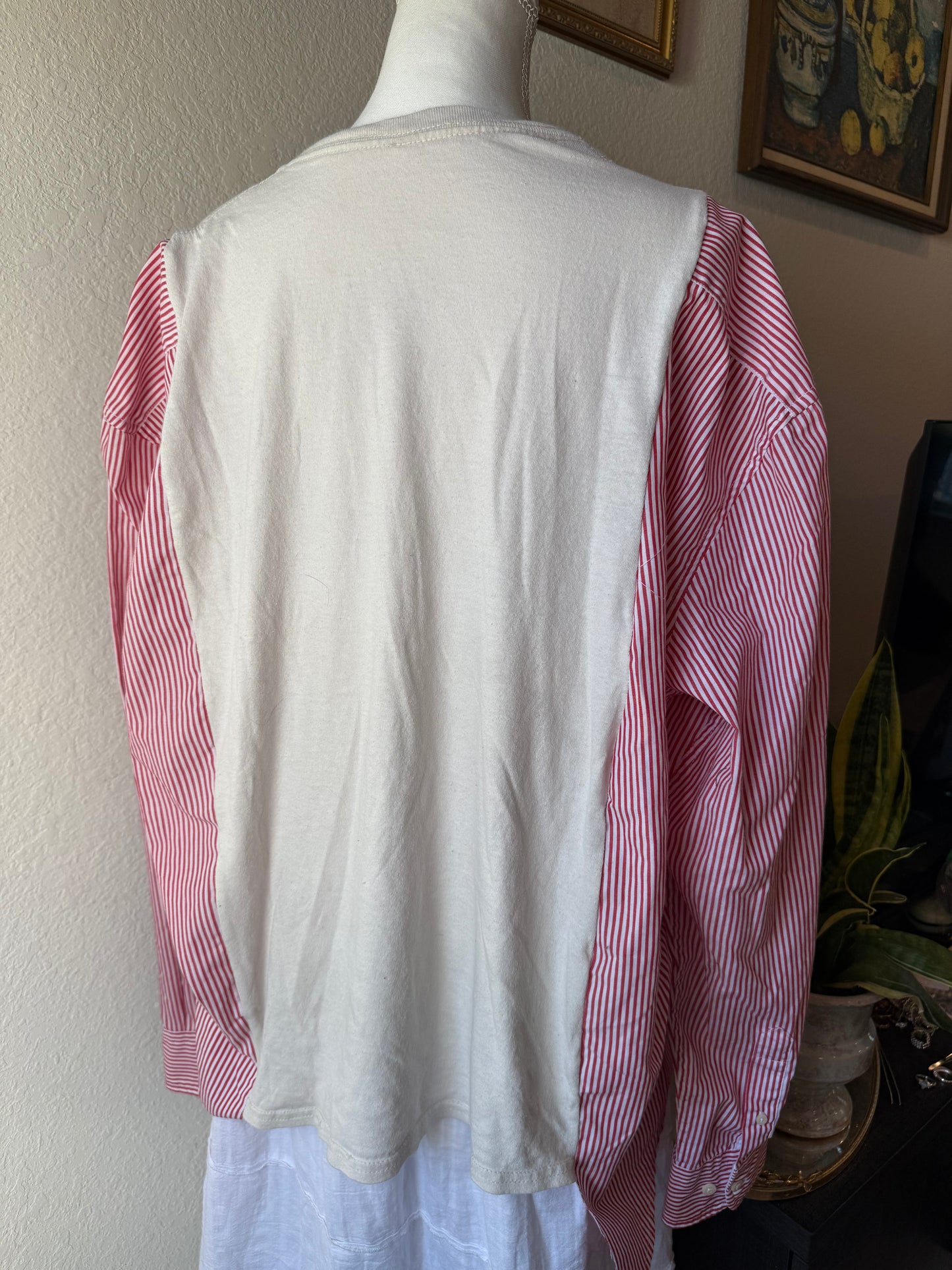 Arkansas Striped Button Up