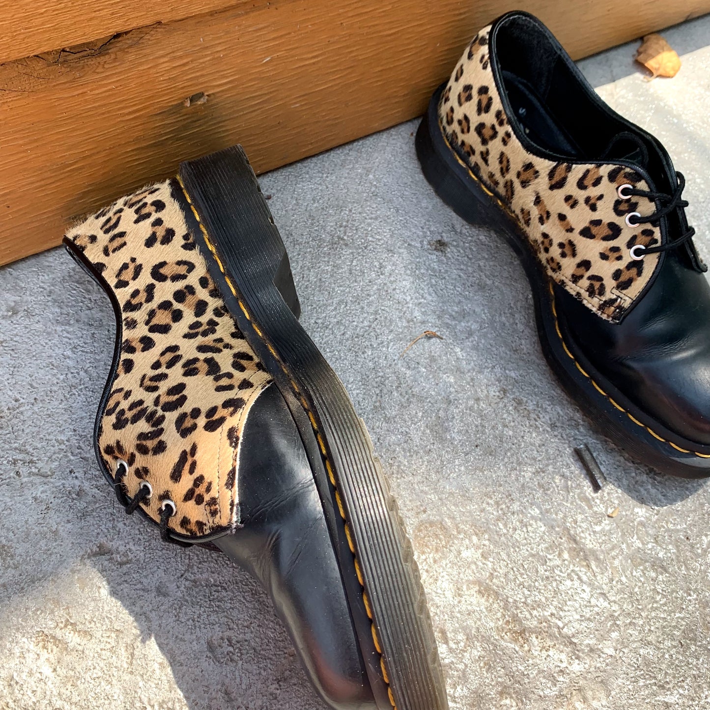Leopard 1461 Oxford