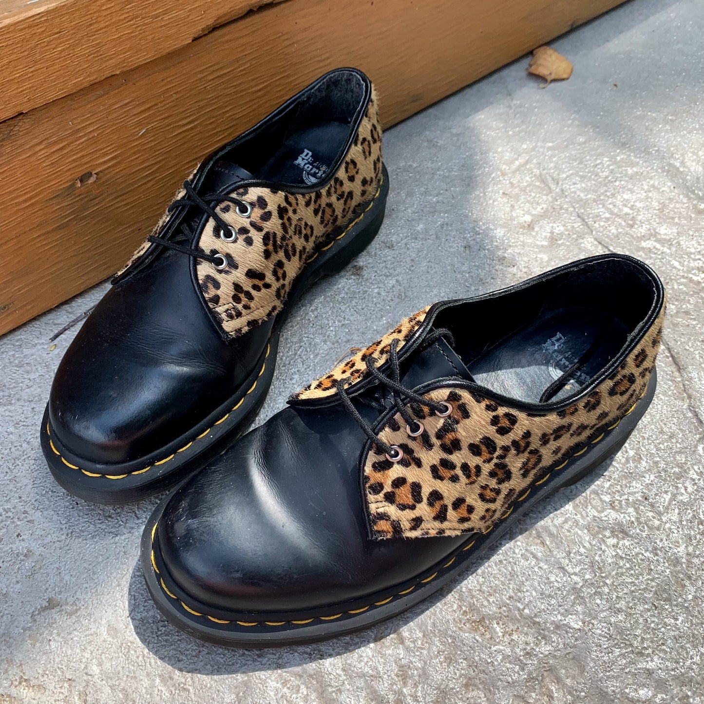 Leopard 1461 Oxford