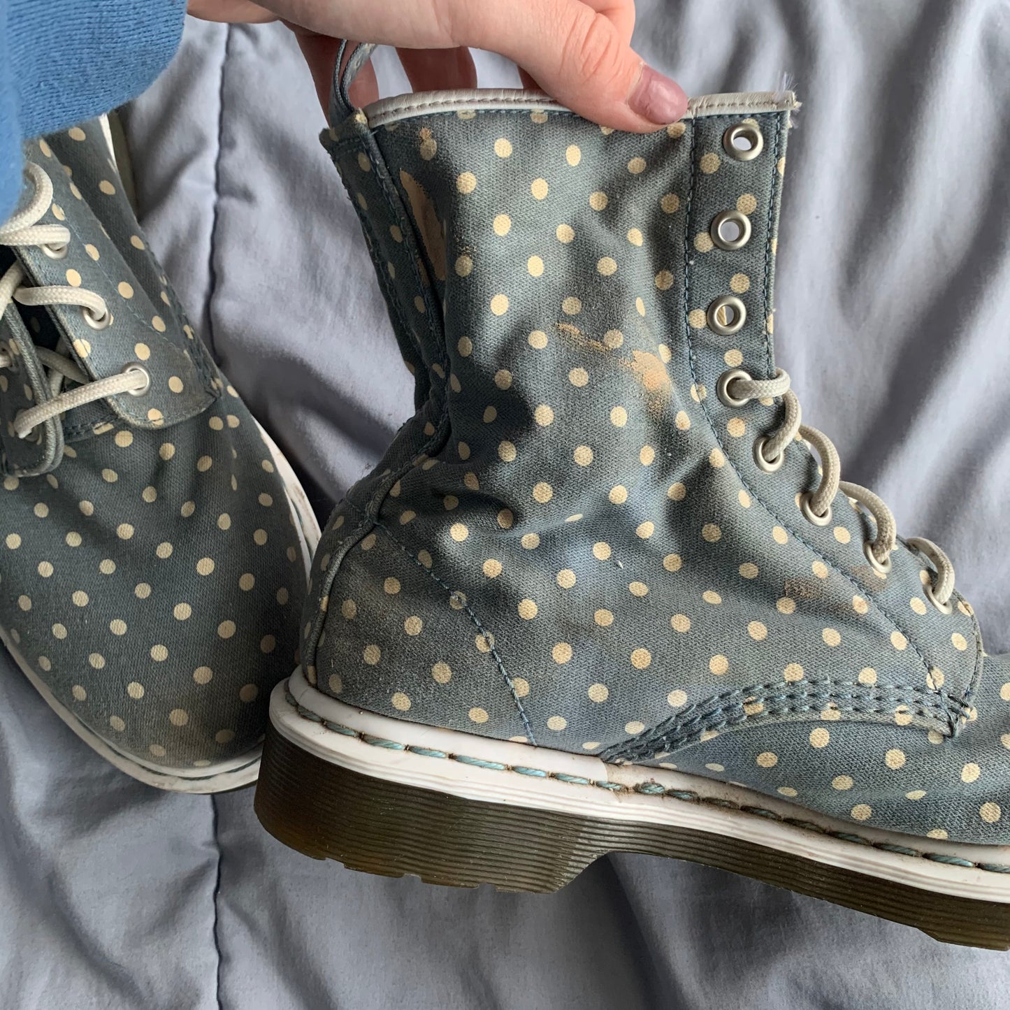 Blue Polka Dot Docs