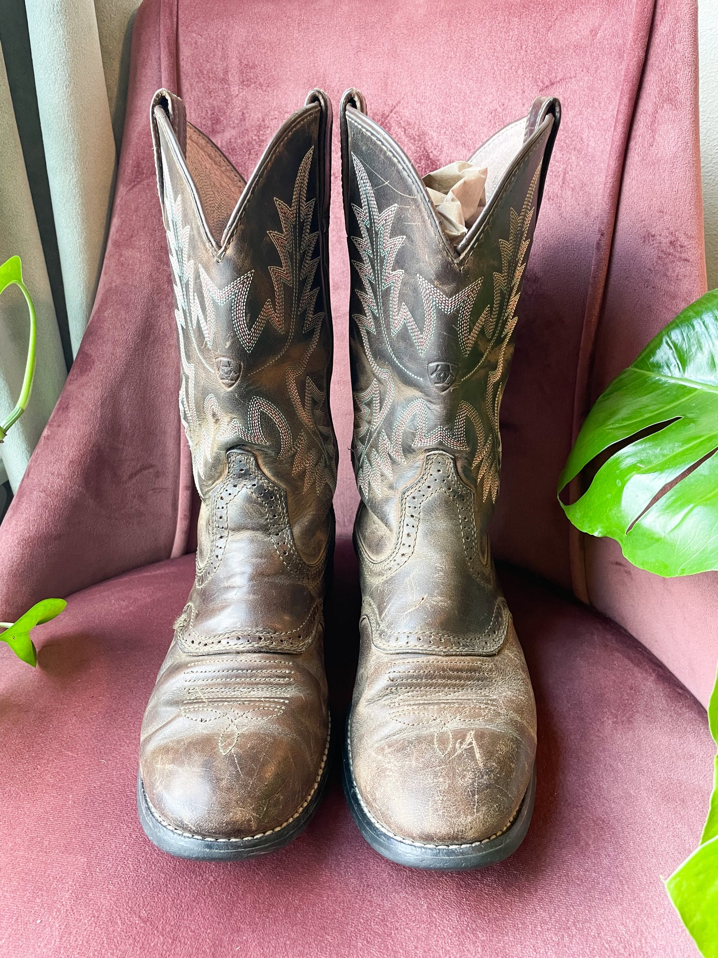 Brown and Pink Ariat