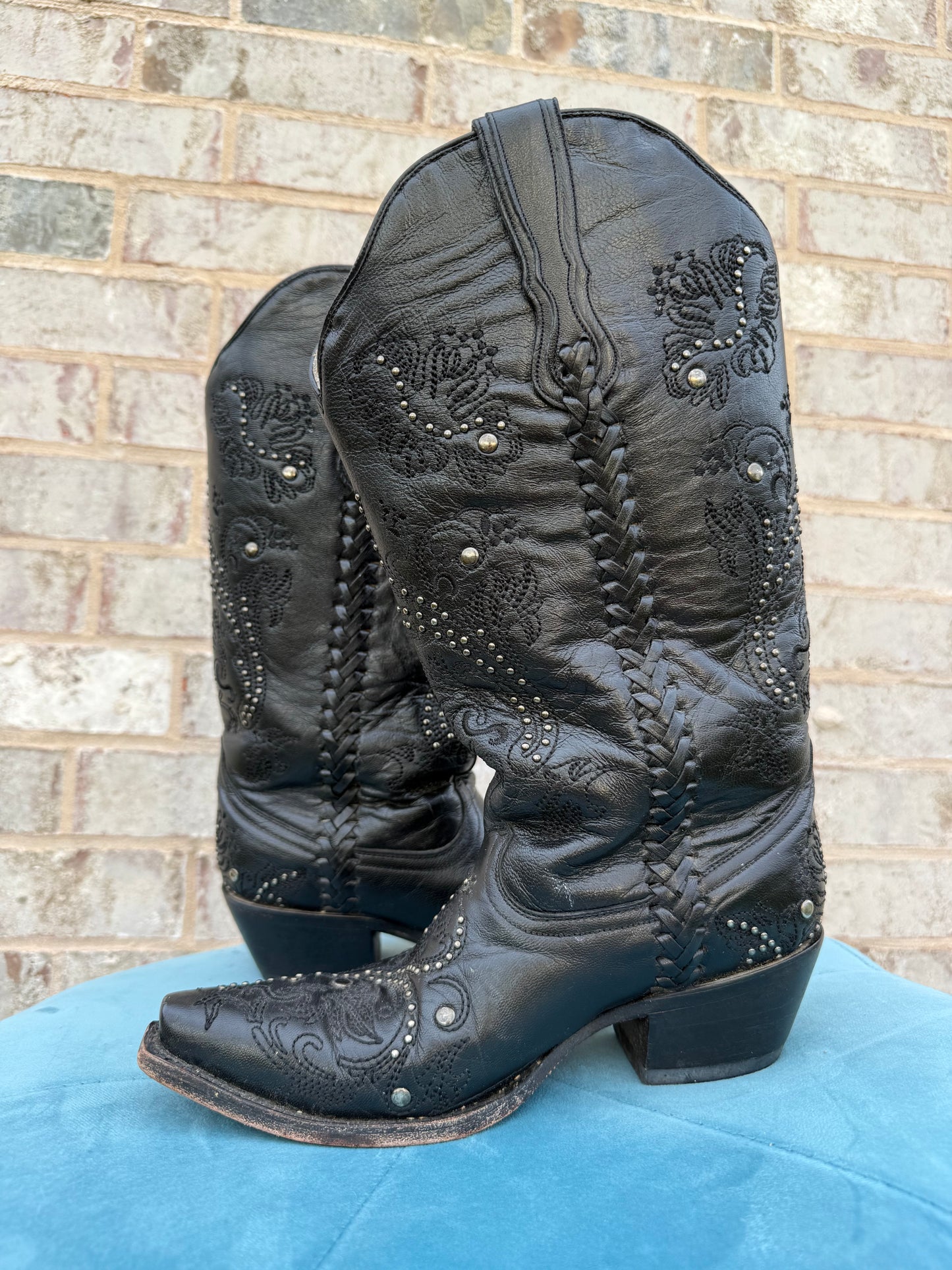 Black Embroidered Corral