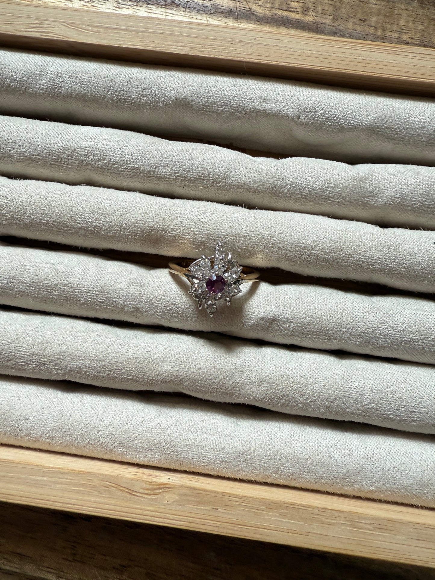 Purple & Gold (8.25)