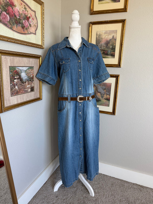 Vintage Denim Pearl Snap Dress