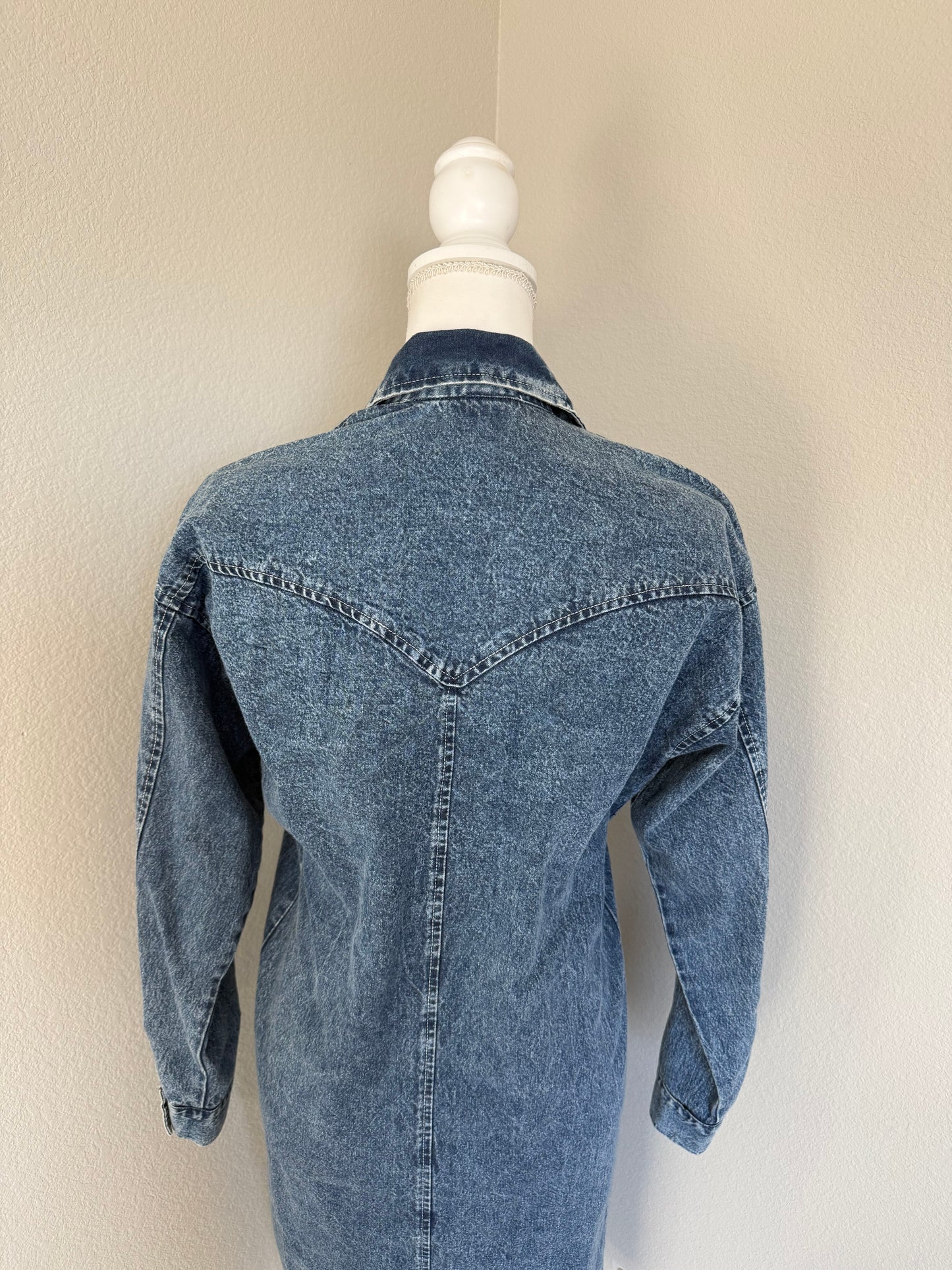 Vintage Denim Dress