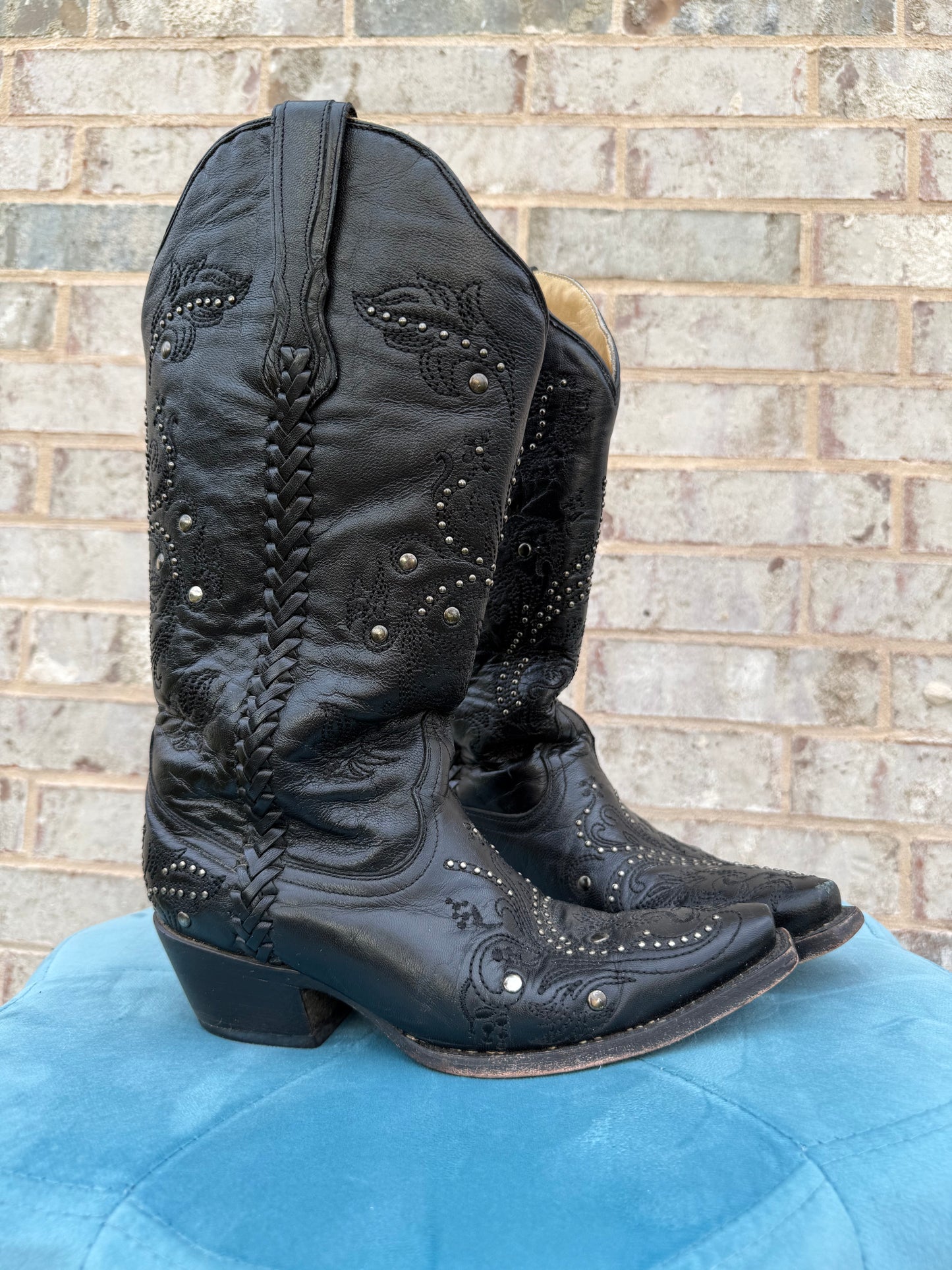 Black Embroidered Corral