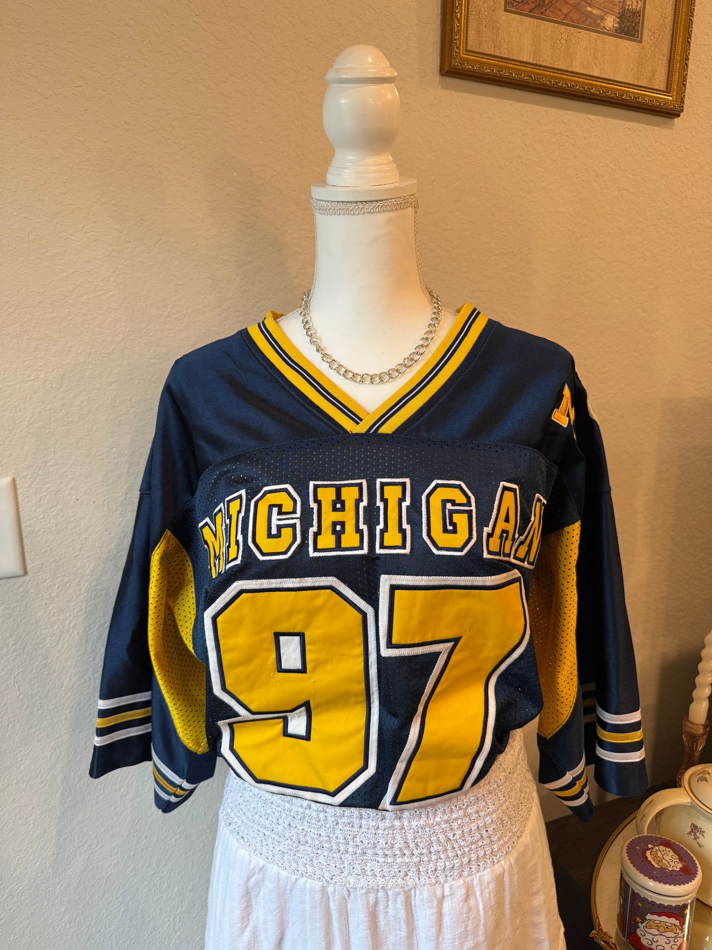 Michigan Jersey