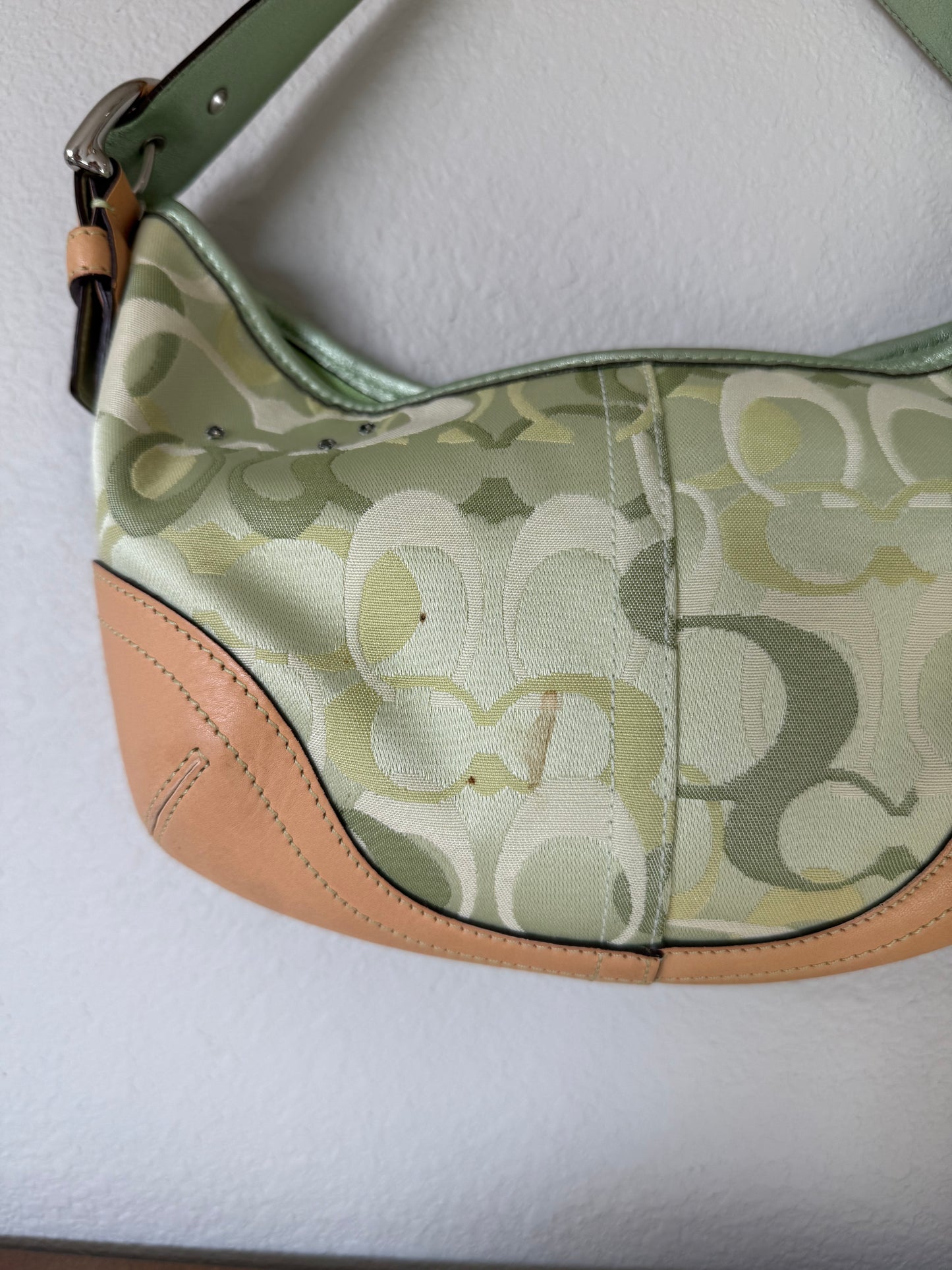 Coach Green Ladybug Bag