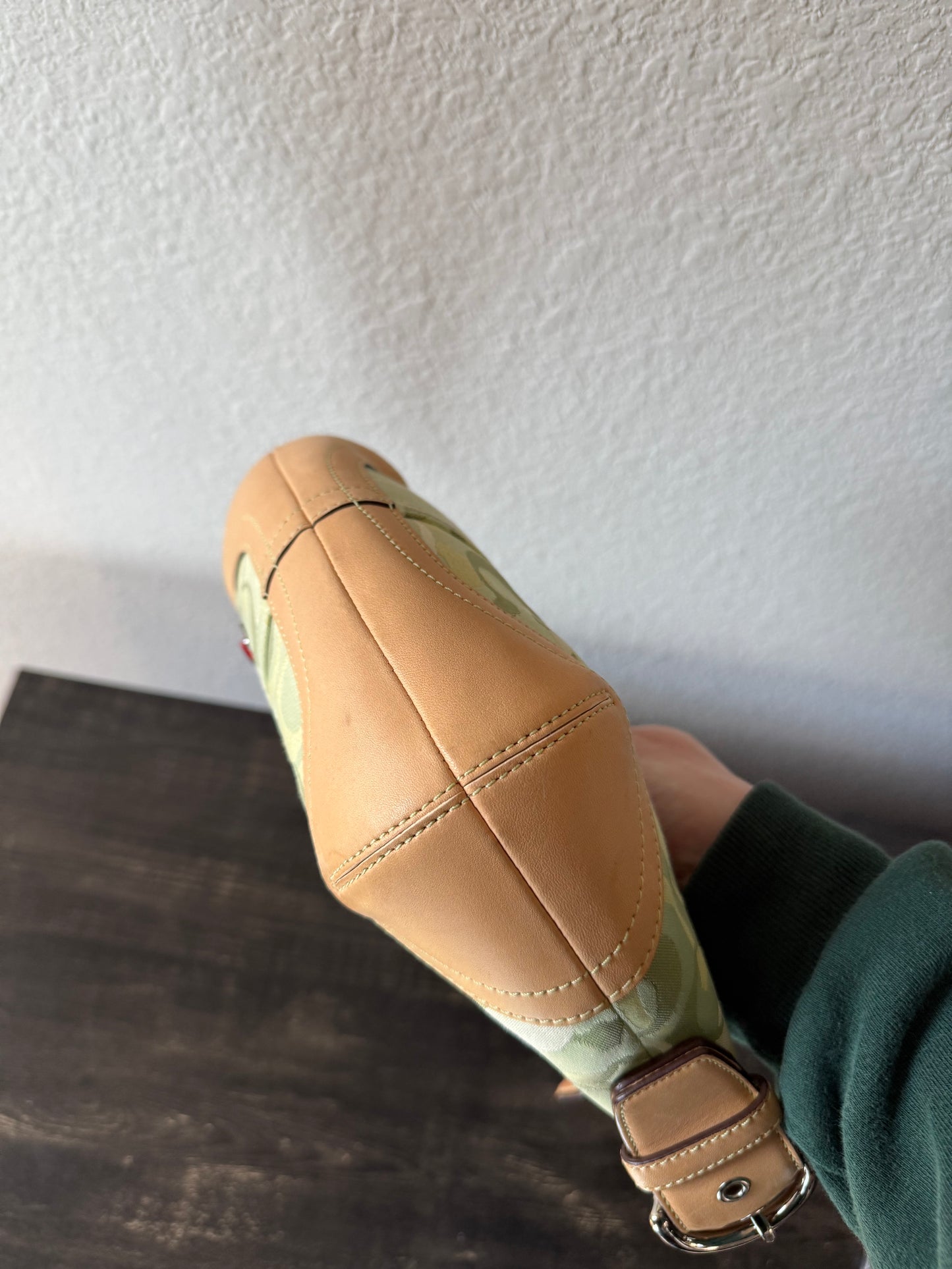 Coach Green Ladybug Bag