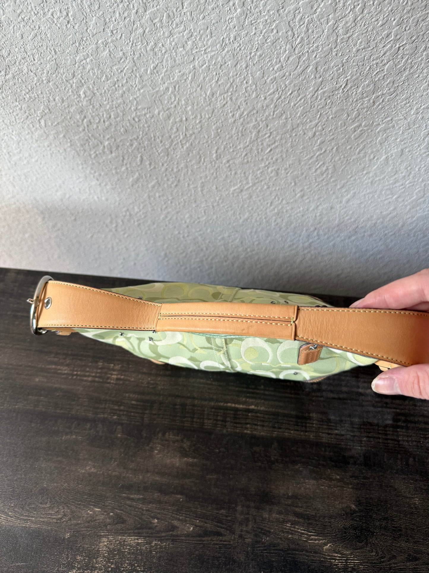 Coach Green Ladybug Bag