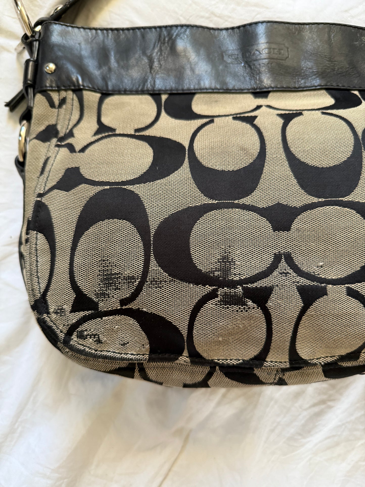 Coach Zoe Hobo Bag