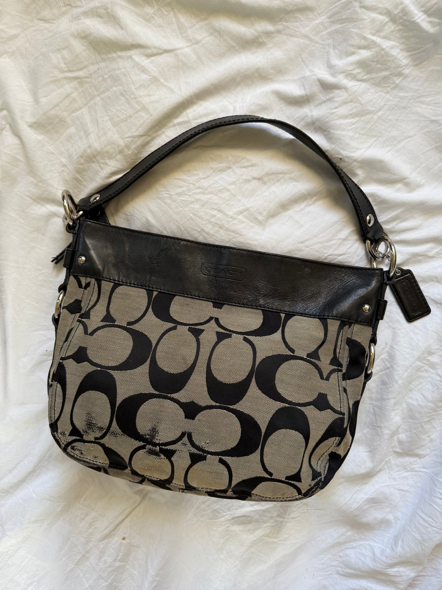 Coach Zoe Hobo Bag