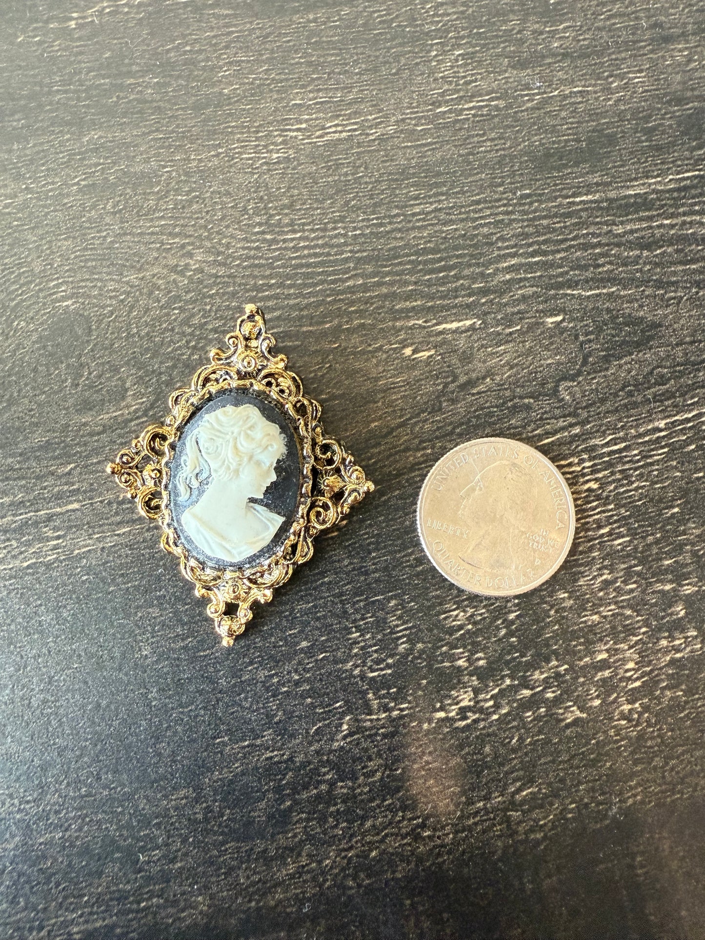 Gerry's Cameo Brooch