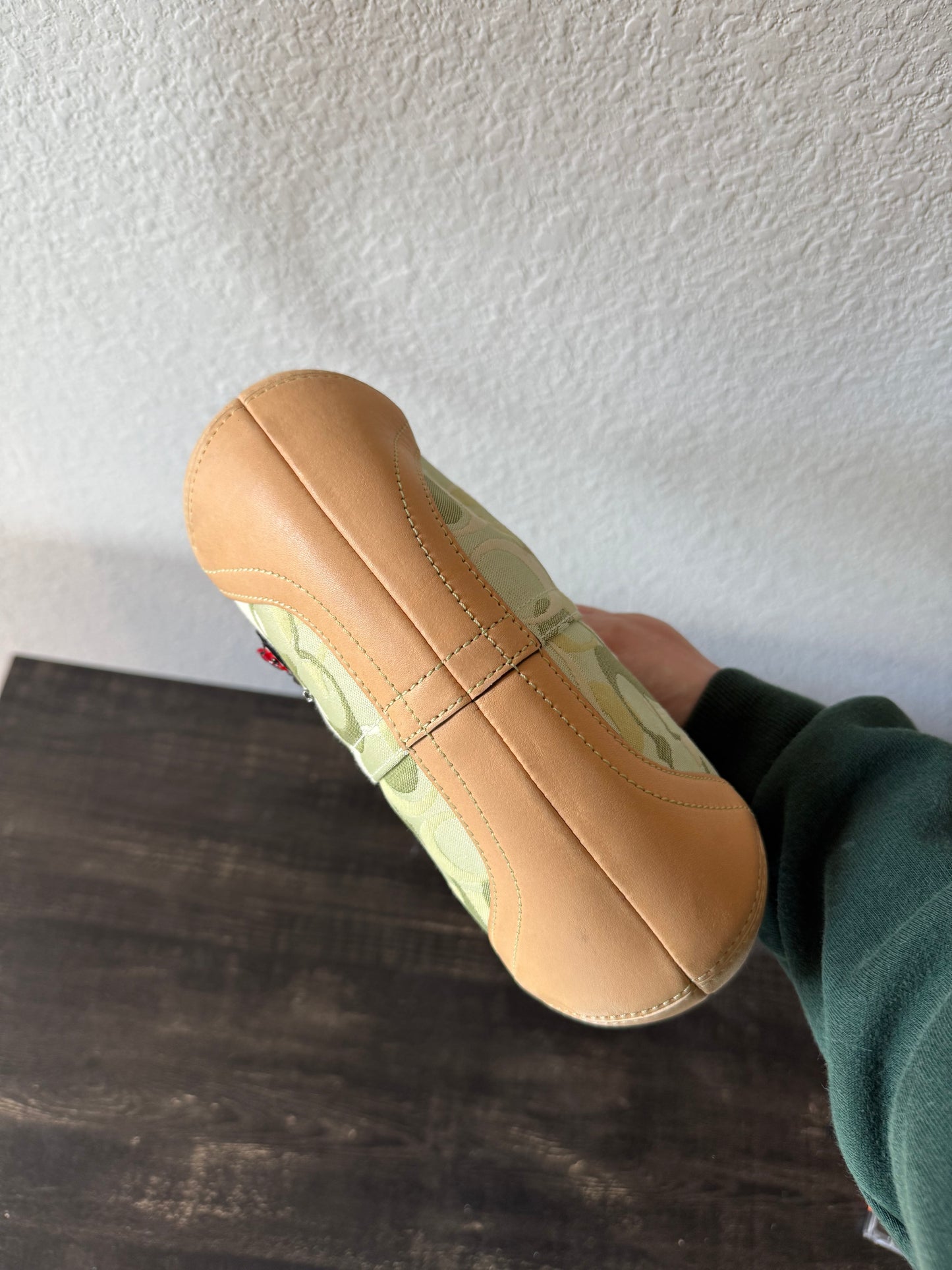 Coach Green Ladybug Bag