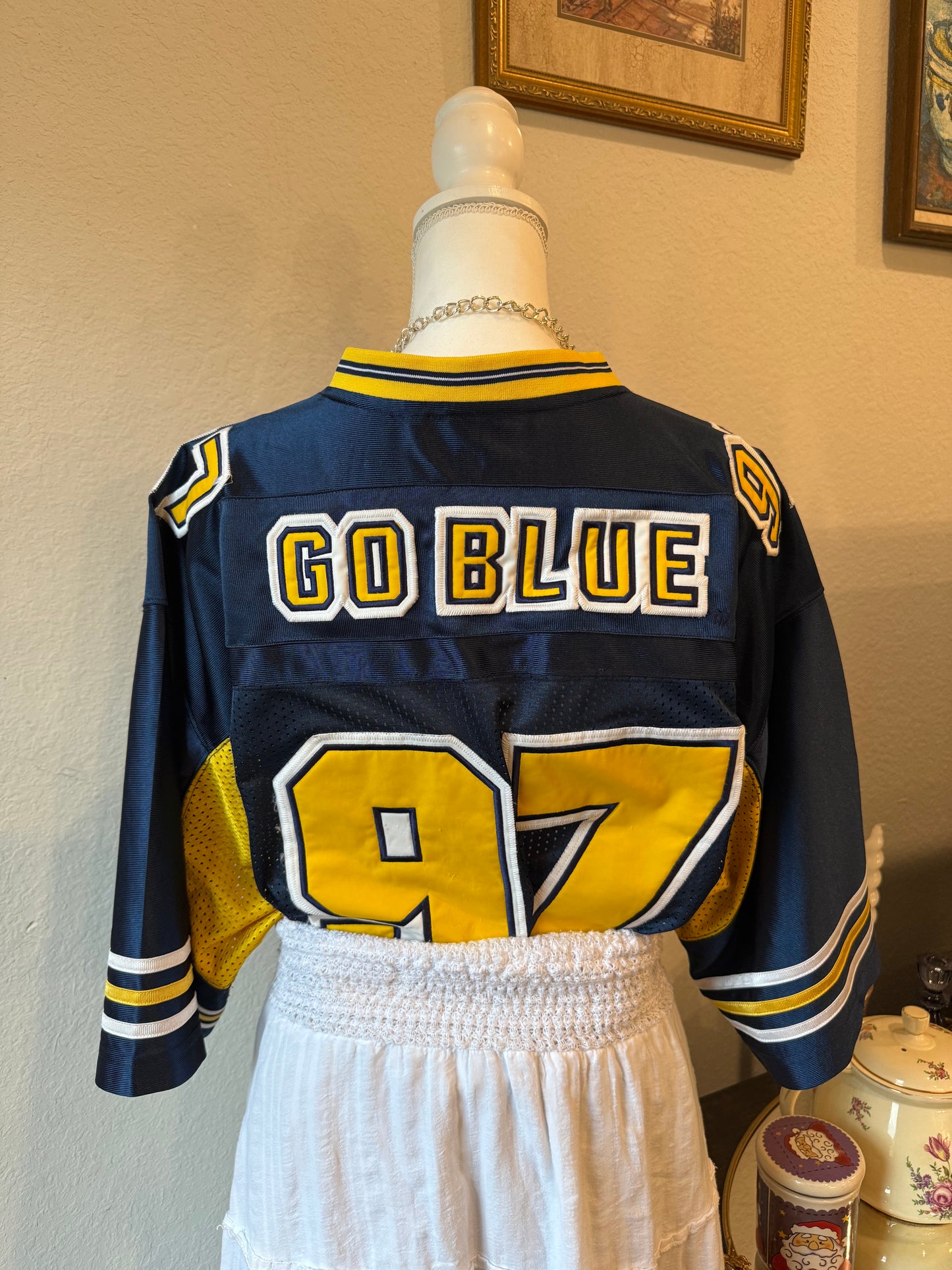Michigan Jersey