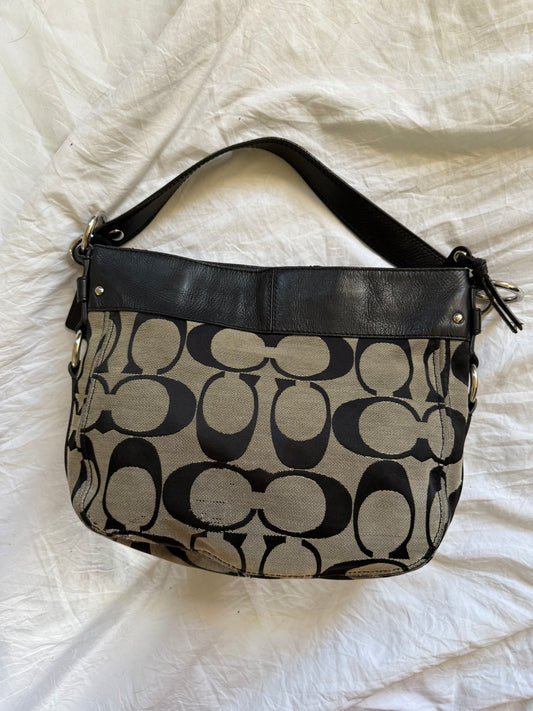 Coach Zoe Hobo Bag