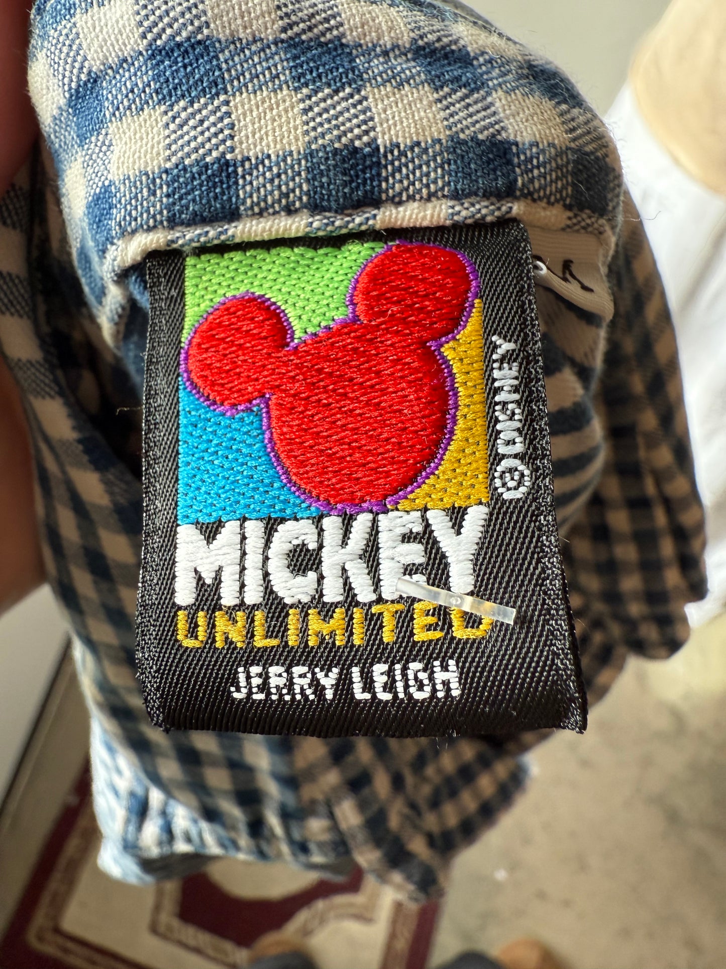 Disney Flannel