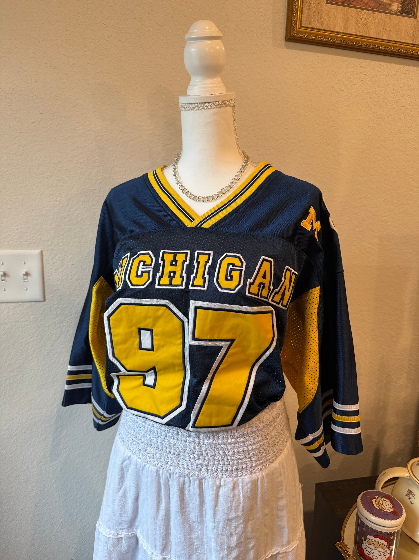 Michigan Jersey